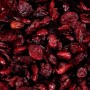 organic-dried-cranberries-bulk_DRCRA2_200